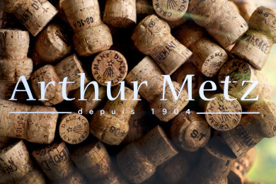 Nos sites vinicoles en Alsace